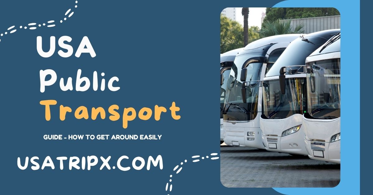 USA Public Transport Guide: How to Get Around Efficiently