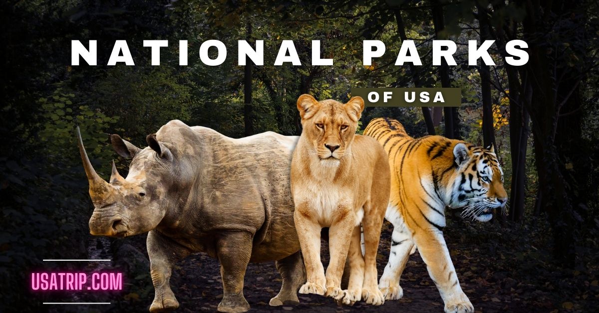 USA national parks guide